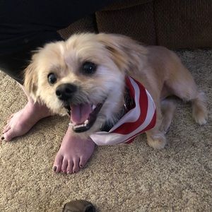 Meet your Posher, Anthony